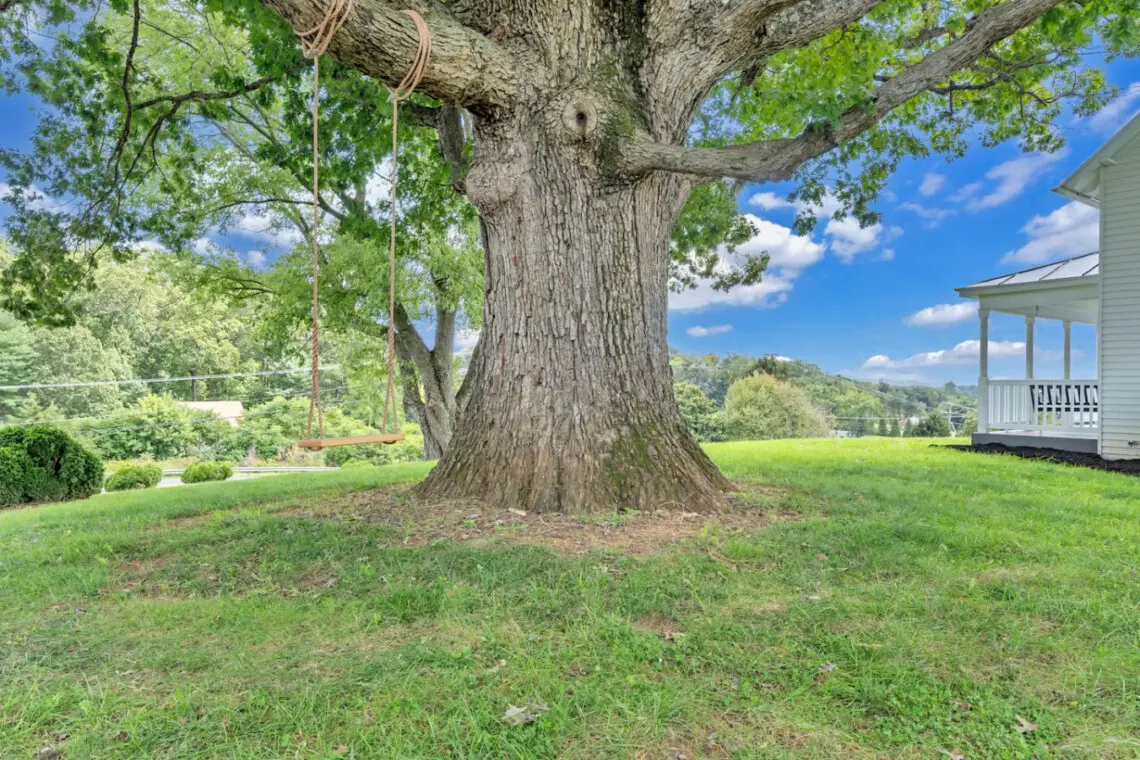 145833 432550 ZpwPaRJrLTbFFt9Mbu399IJAn s C3hgePYrQktT6BM 68dbeed038535.jpg