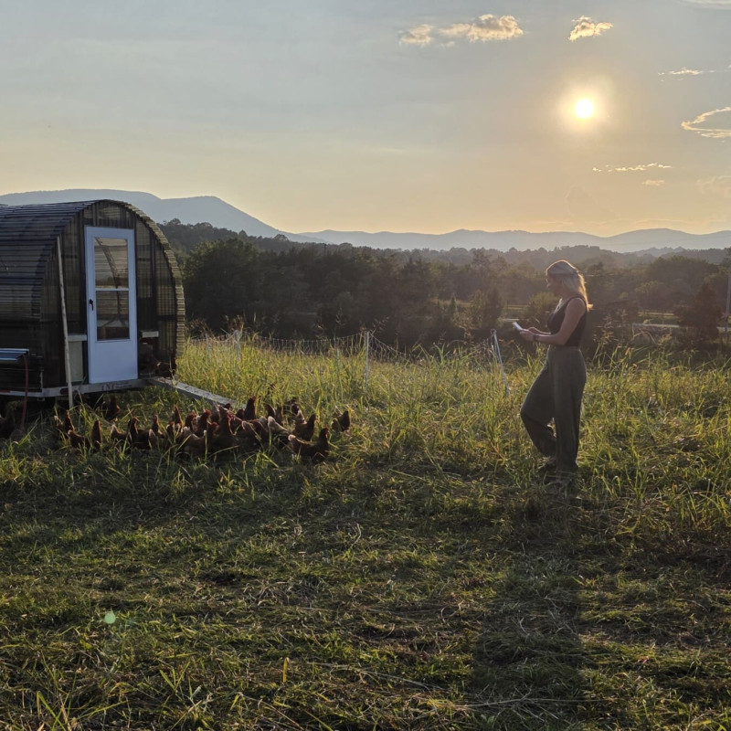 Experience Farm Tour Pic 2